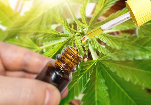 Quelles sont les vertus du cannabidiol ?