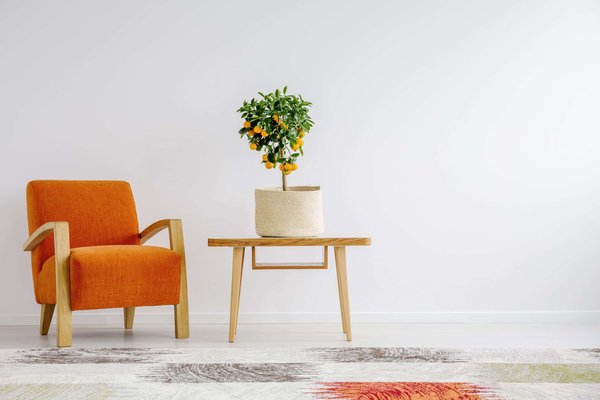 Comment les rideaux bleus peuvent rehausser votre décoration intérieure ?